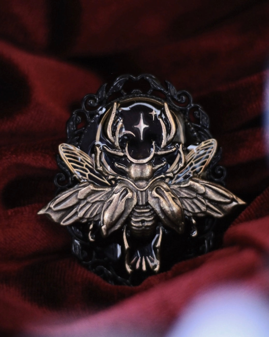 Le Vœu des Ailes